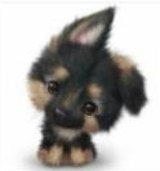 30 x 30 round diamond painting -Shep