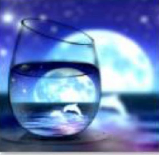 30 x 30 full round diamond painting - dolphin through a glass beach