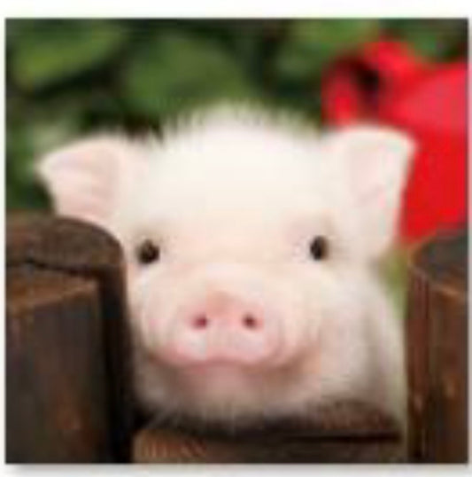 30 x 30 full round diamond painting - piggy