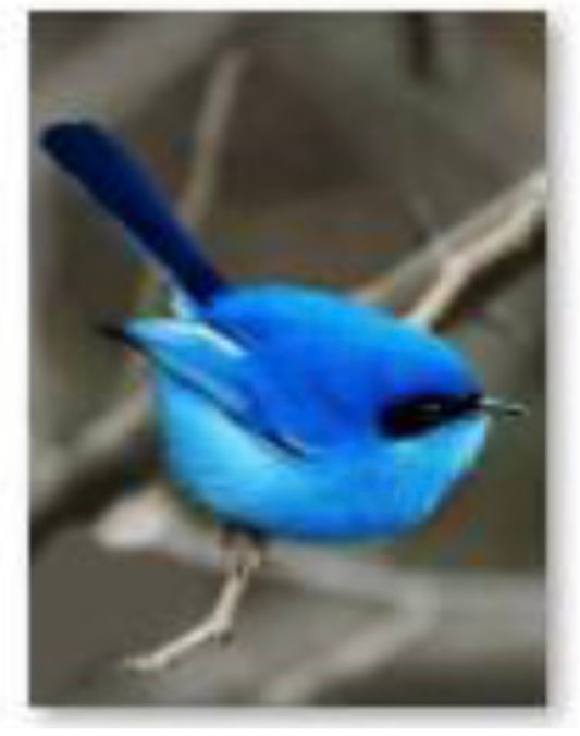 30 x 40 diamond painting -blue bird