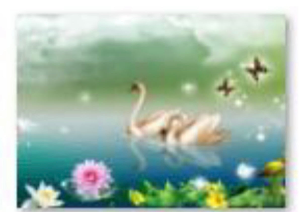 40 x 30 round diamond painting - swans