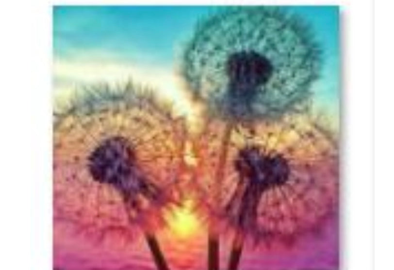 30 x 30 full round diamond painting - sunset wish