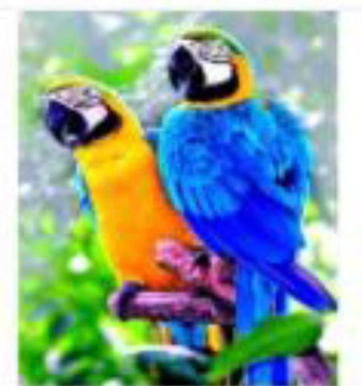 30 x 40 full round diamond painting - love birds