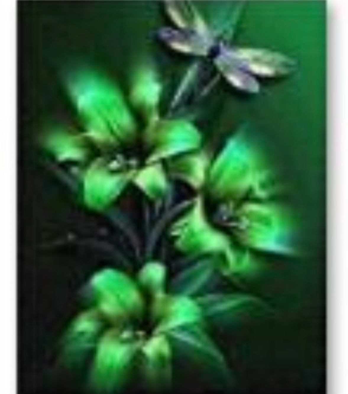 25 x 30 full round diamond painting - green dragonfly
