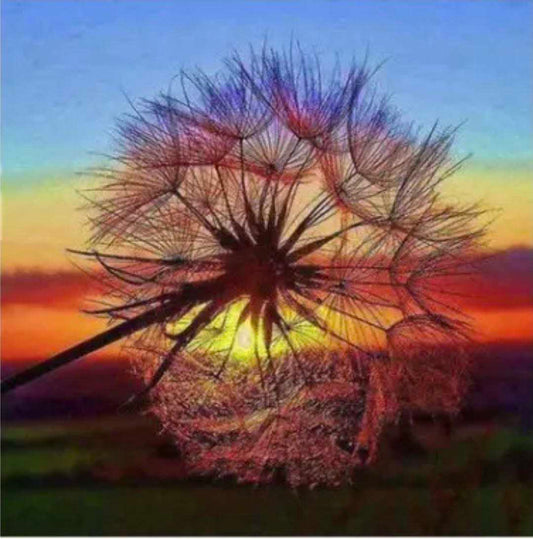 40 x 40 full square Diamond painting - Sunset Wish