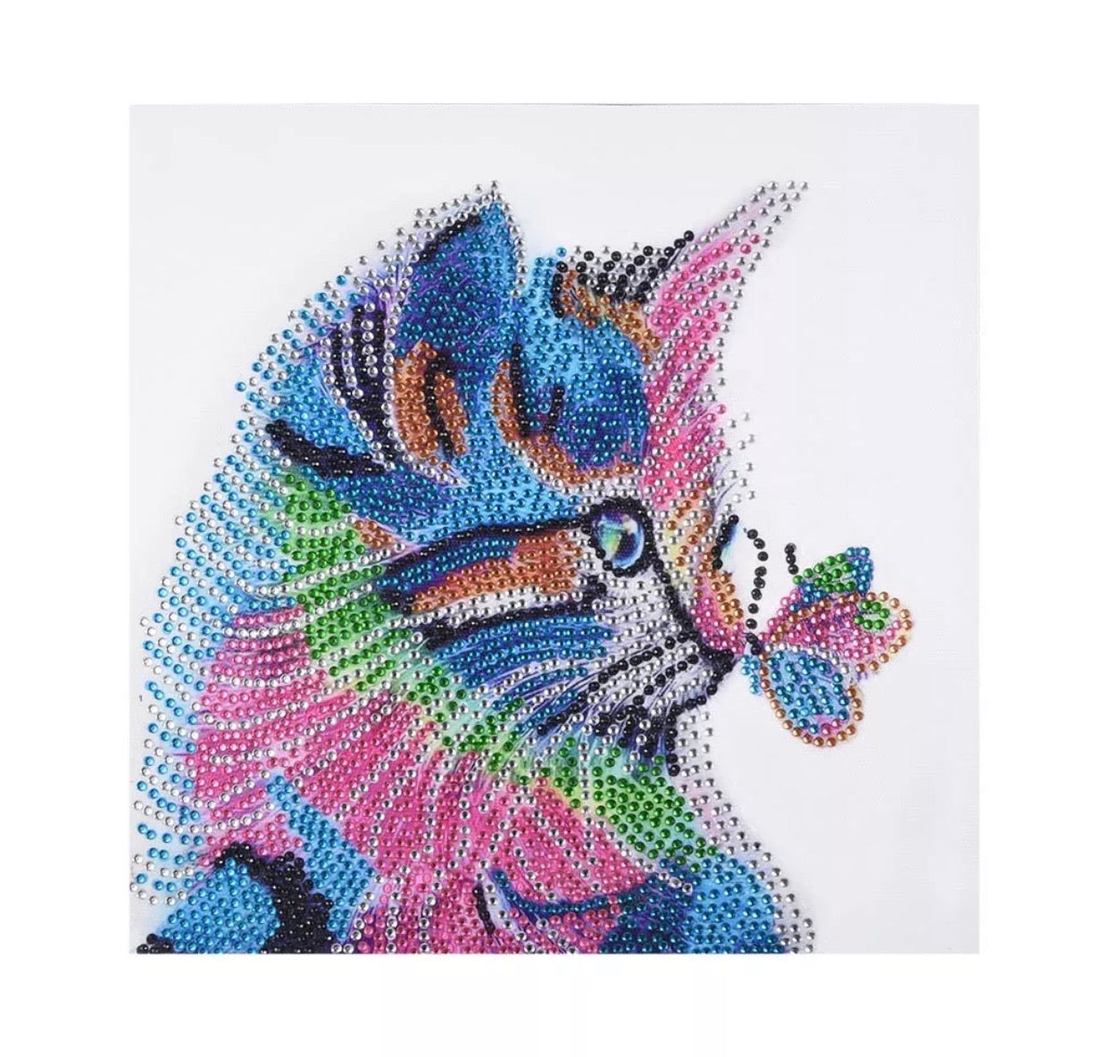 30 x 30 diamond painting (rhinestone) - kittten butterfly on nose H001