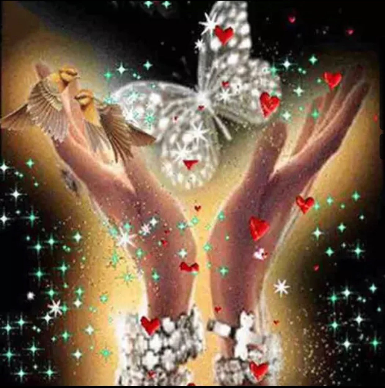 30 x 40 round full drill diamond painting - butterfly in hand - HY825