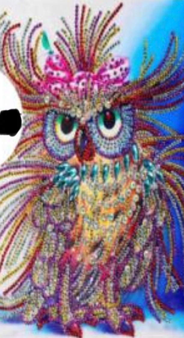 30 x 40 diamond painting rhinestone - bedhead owl DZ106