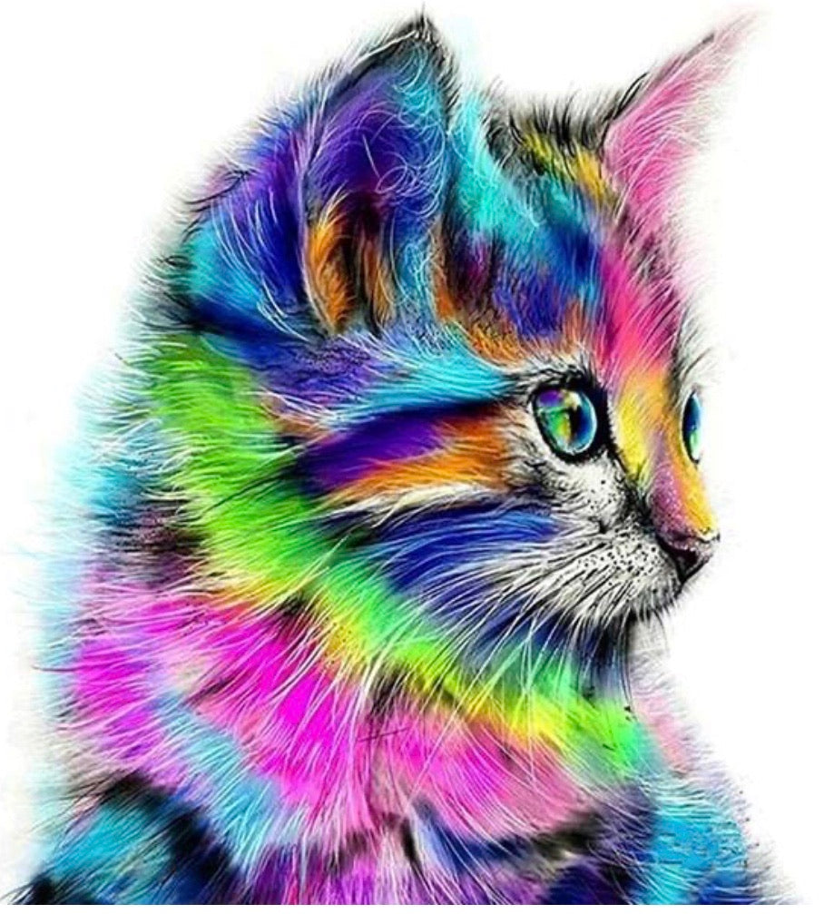 40 x 30 FULL round drill diamond painting - rainbow kitten - FKW1076