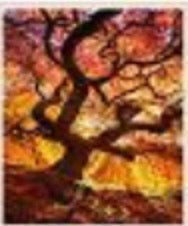 30 x 40 full drill diamond painting - (Hy715) sunset tree