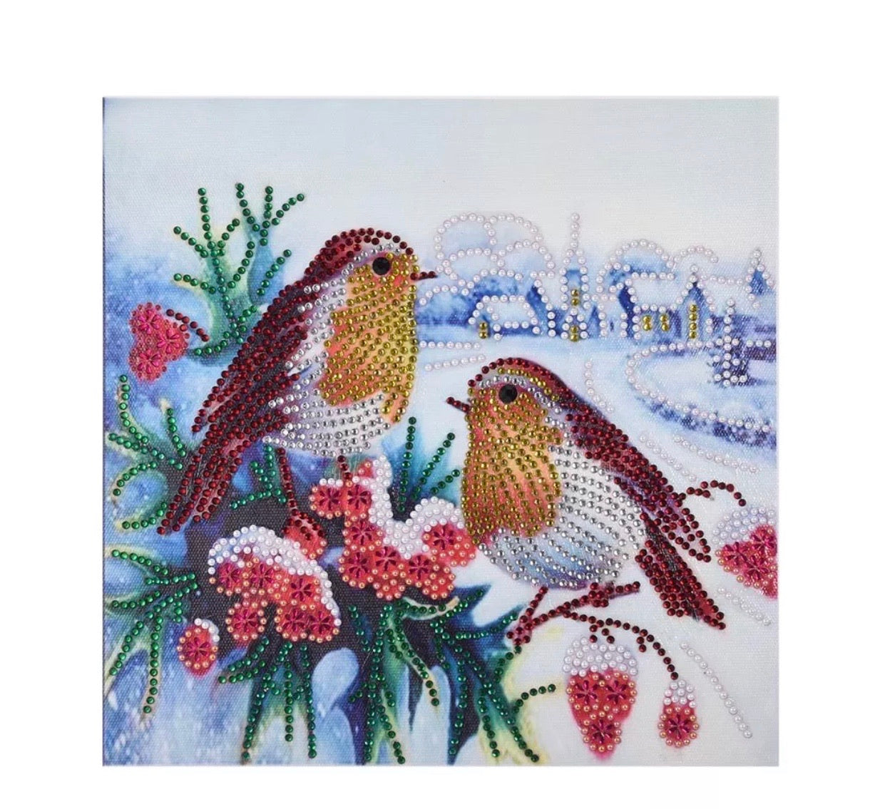 30 x 30 diamond painting (rhinestone) - 2 birdies DZ062