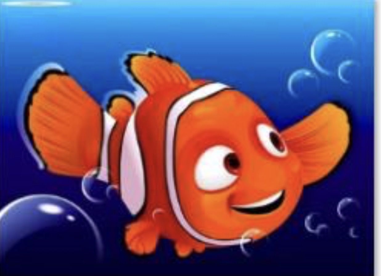 45 x 60 full square drill diamond painting - TLS-7115 - clown fish