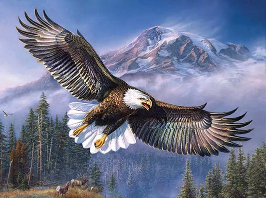 30 x 40 full round drill diamond painting - eagle - HY6166