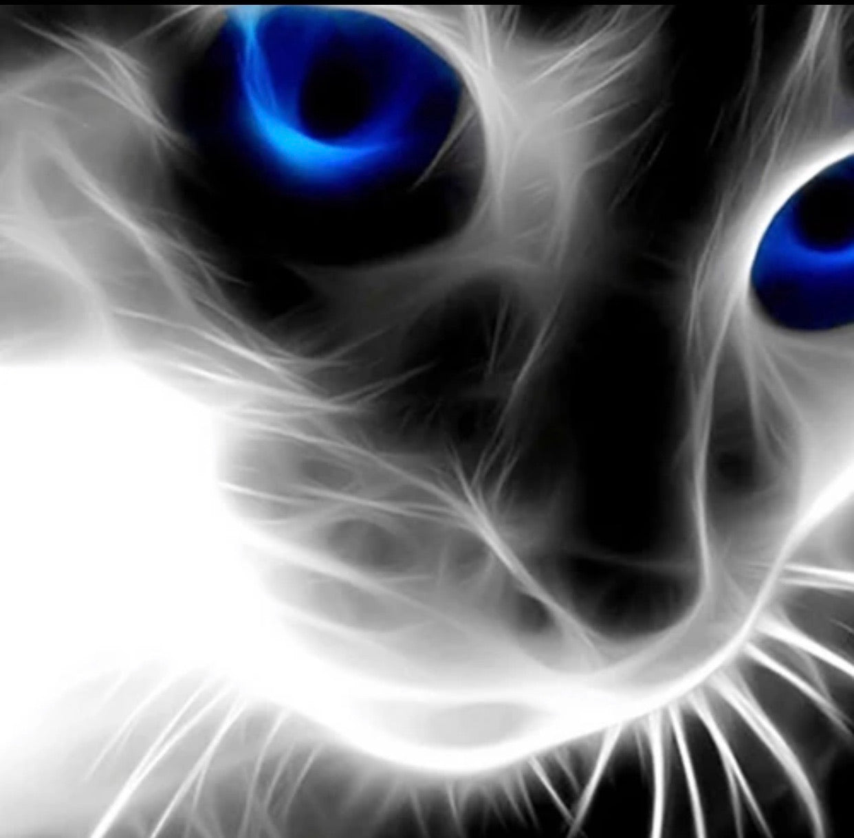 30 x 40 full drill diamond painting - (Fkw1155) blue eyed kitty