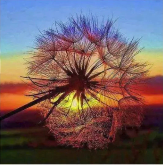 35 x 35 full round drill diamond painting - make a wish - HY011