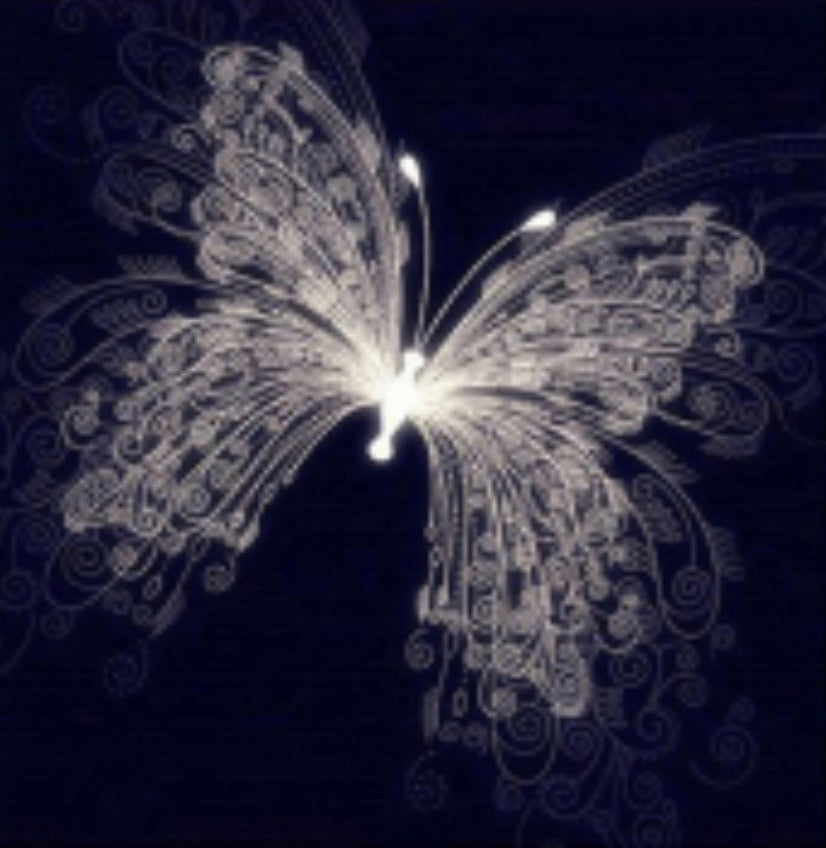 40 x 40 full square drill diamond painting TLS-6916 - black n white butterfly