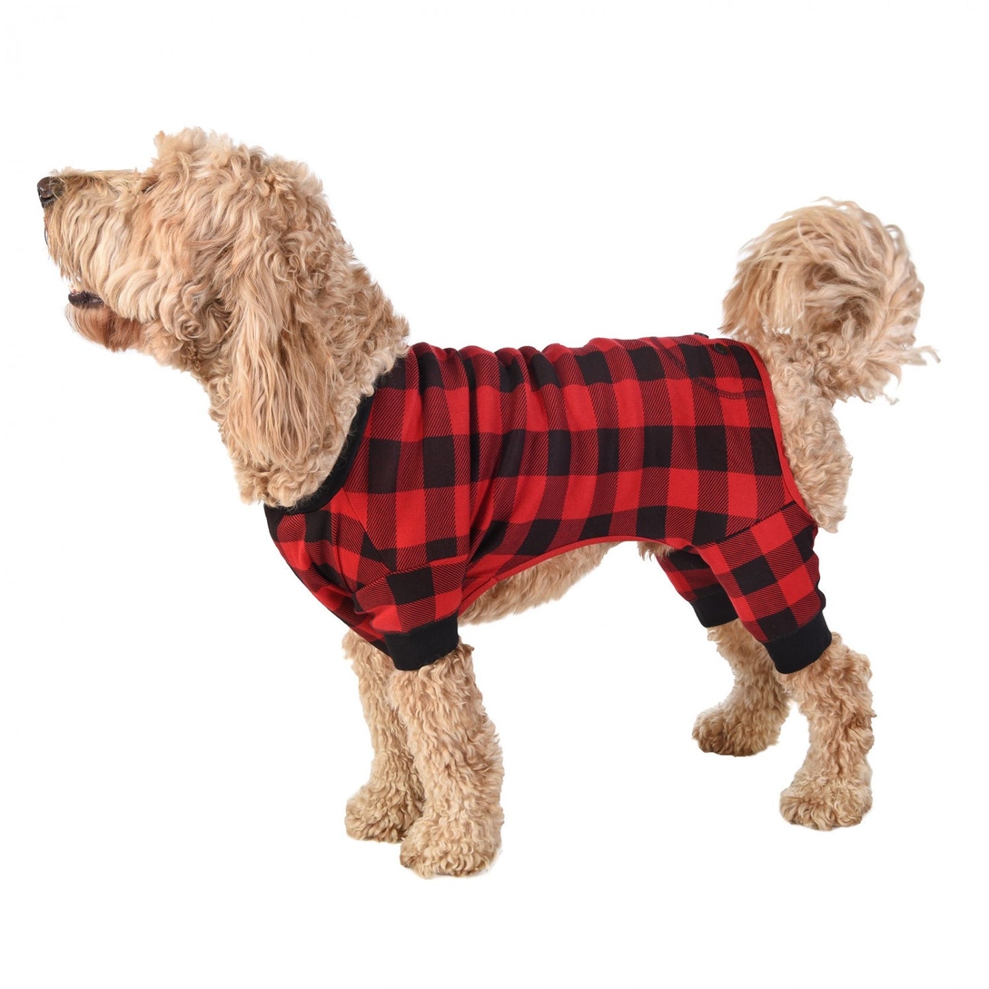 lazy one - dog flapjack bear cheeks