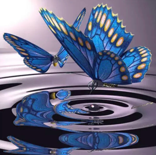 30 x 30 partial round drill diamond painting - blue butterfly HY839b
