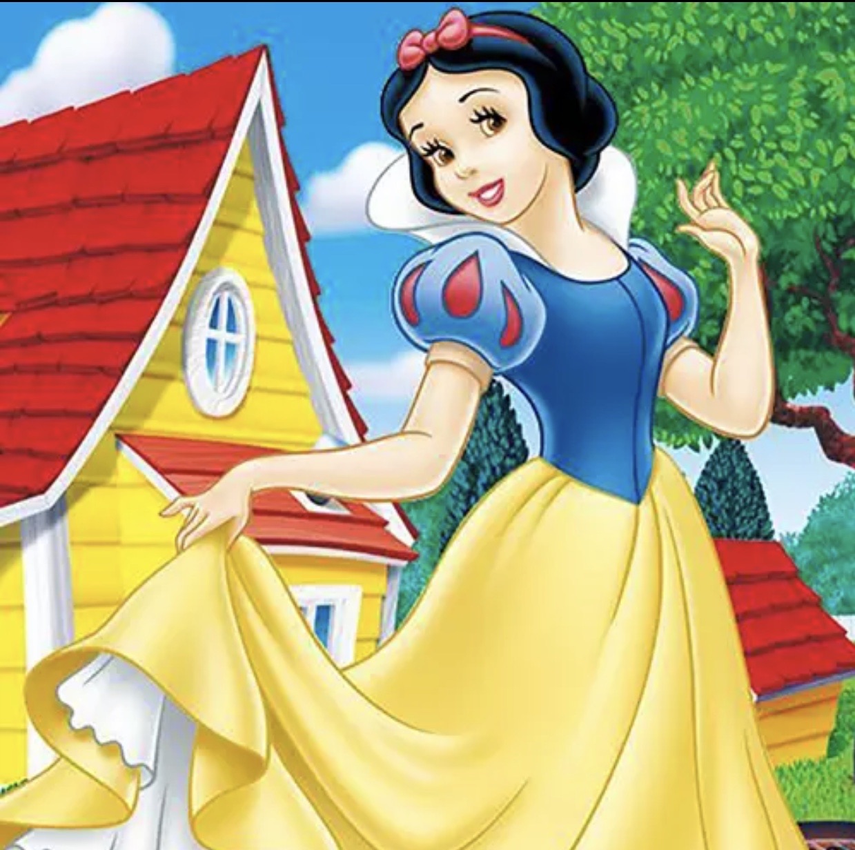 30 x 40 full drill diamond painting (Fkw1148) snow white