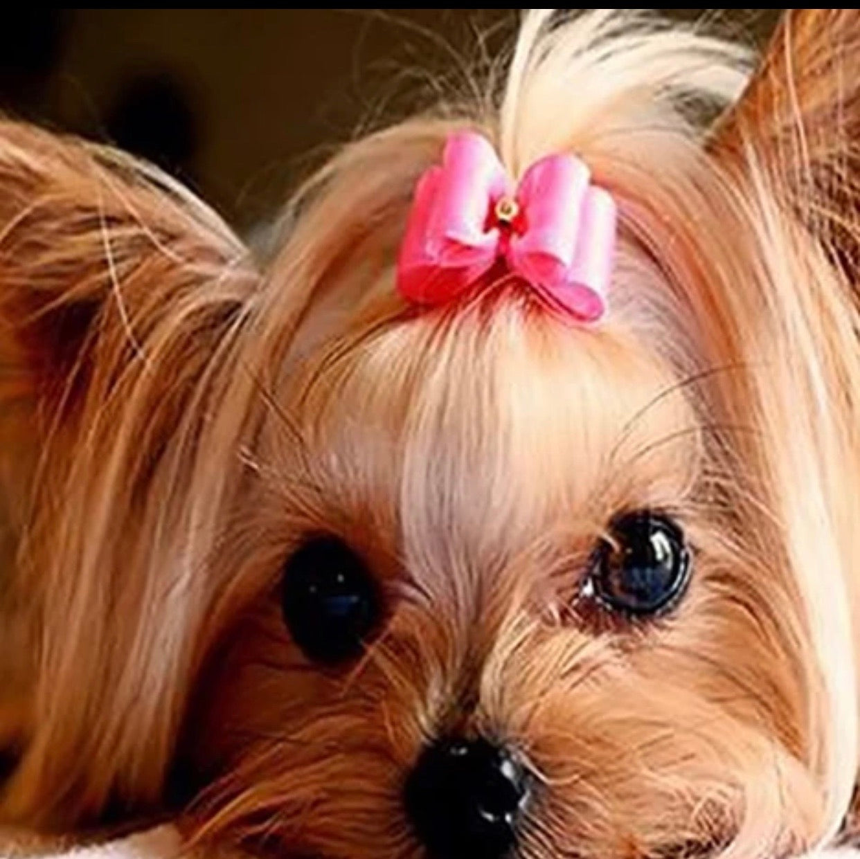 30 x 40 full drill diamond painting - (Fkw1163) yorkie