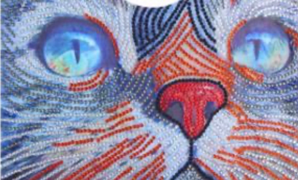 25 x 30 full round drill diamond painting -cat H052