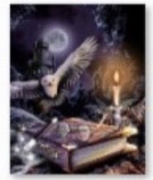 27 x 34 full square drill diamond painting BESTS-069 potter owl