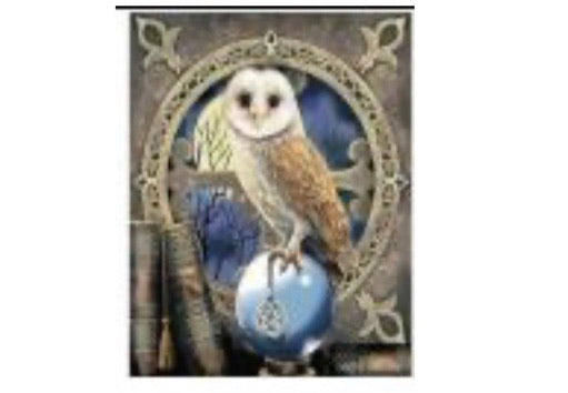 60 x 50 full square drill diamond painting - TA313 - framed HP owl