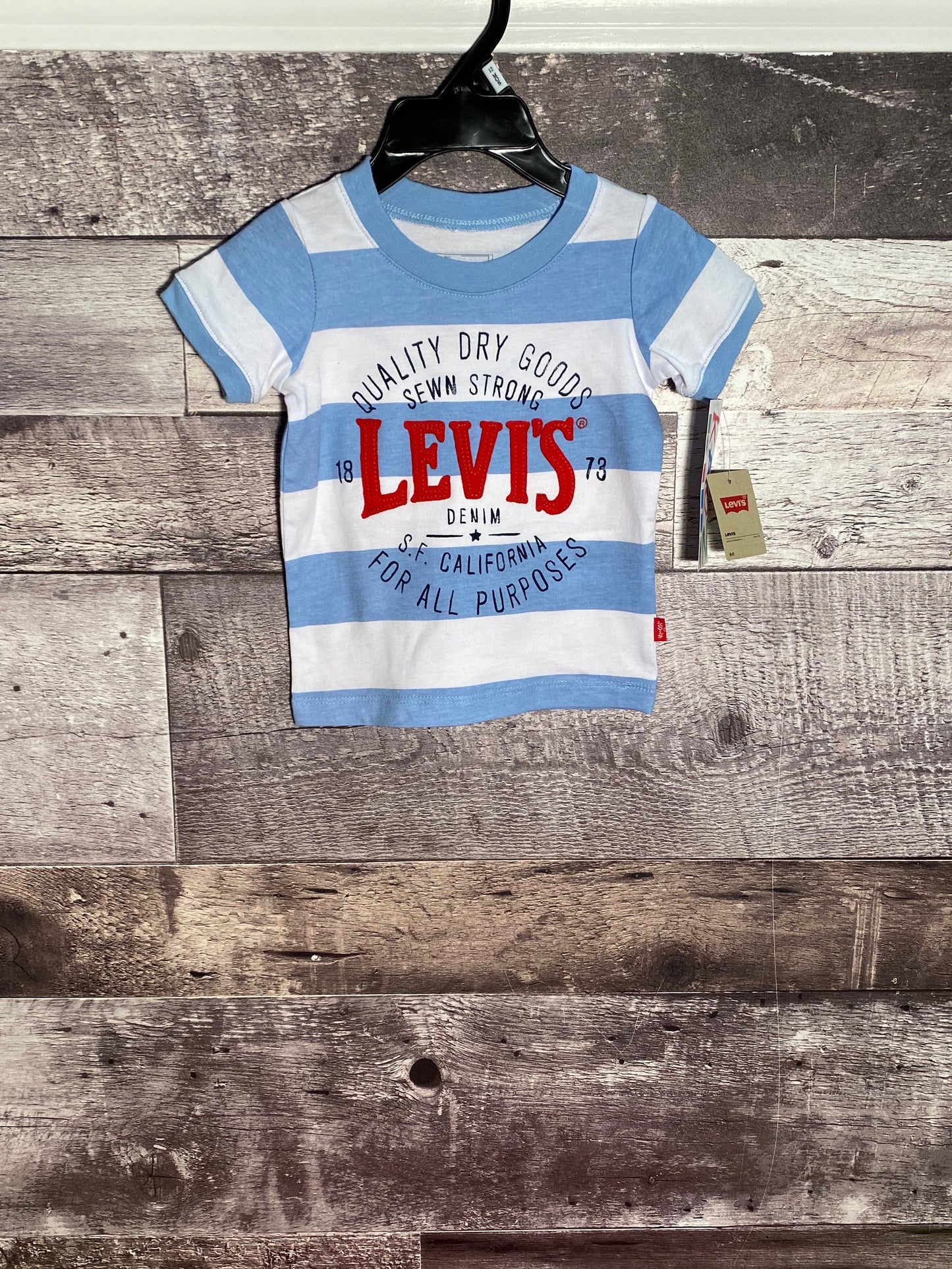Levi's dusk blue stripe s/s tee
