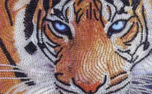 25 x 30 full round drill diamond painting - tiger H006
