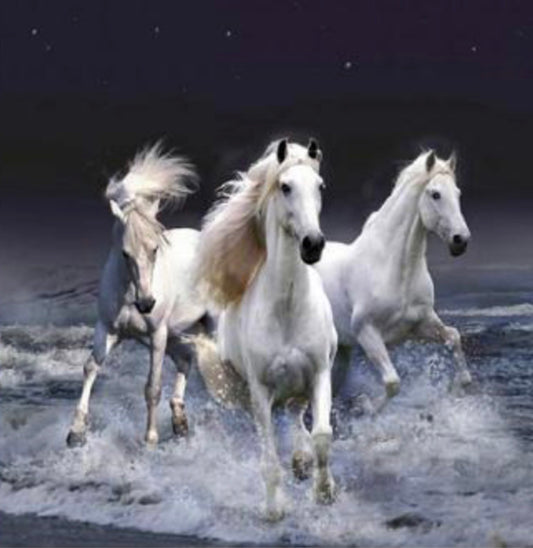 27 x 27 full square drill diamond painting BESTS-054 wild horses