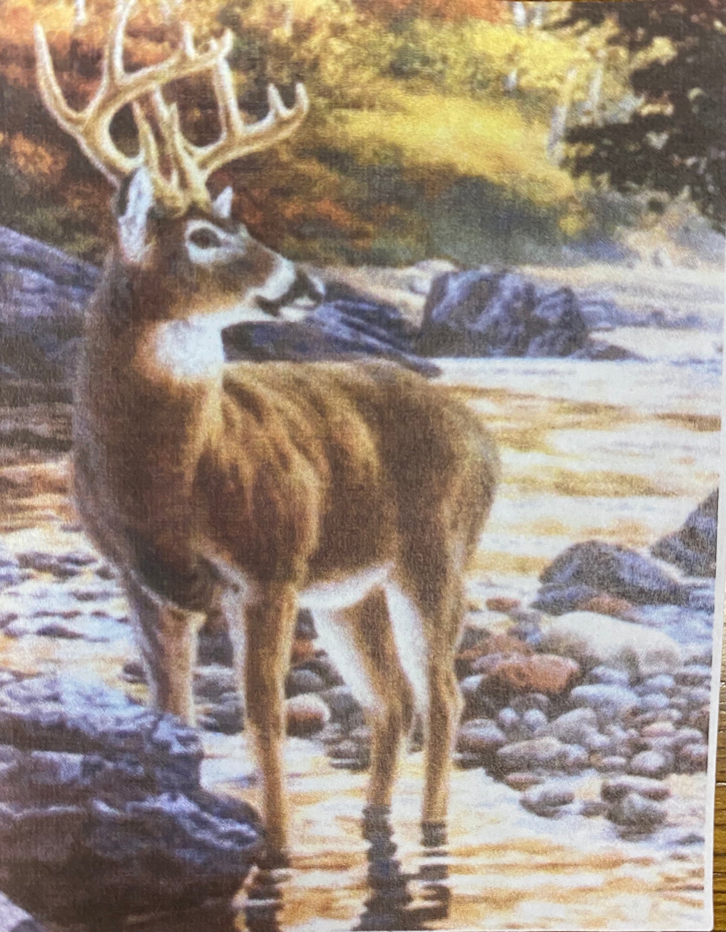 40 x 50 full round drill diamond painting - buck - J8840