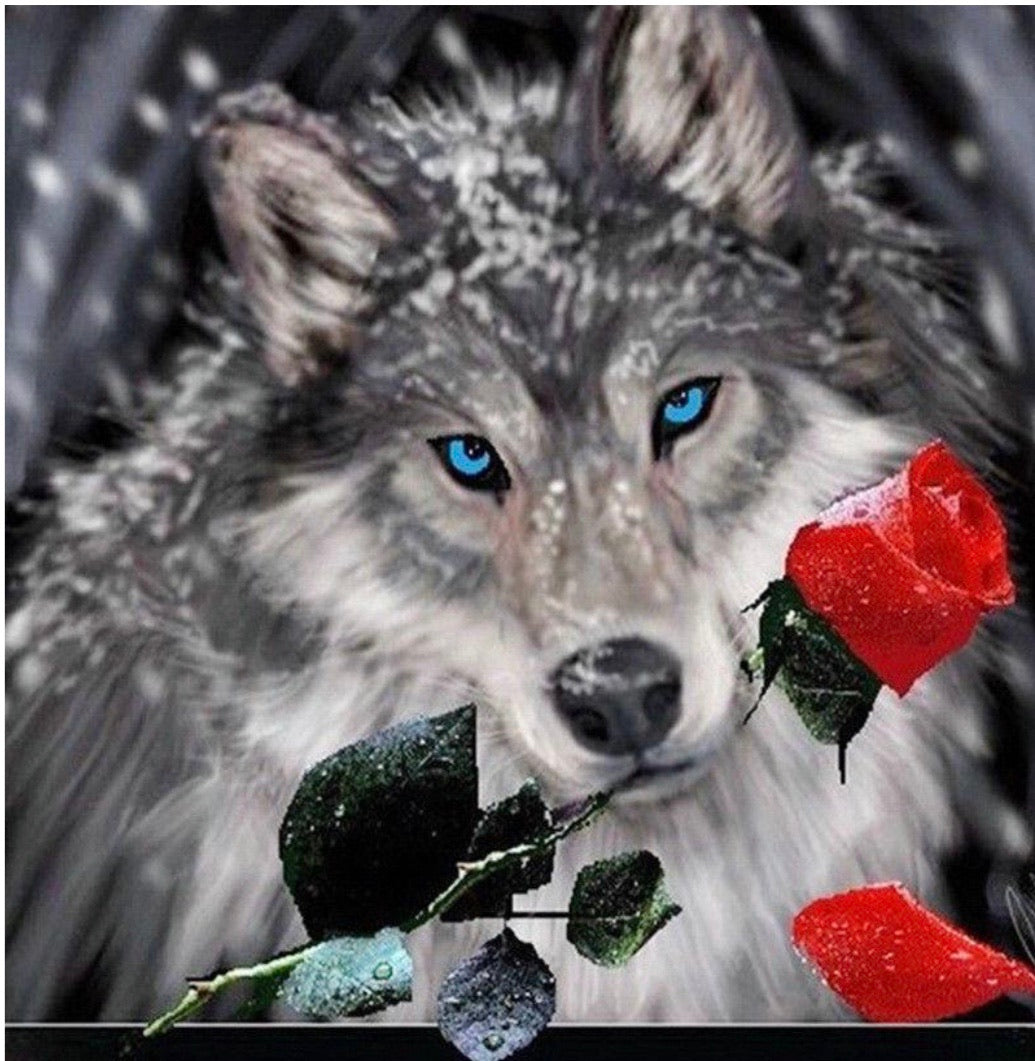 30 x 30 diamond painting full drill - wolf with rose HY731