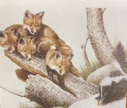 40 x 50  full round drill diamond painting - skunked - J11437