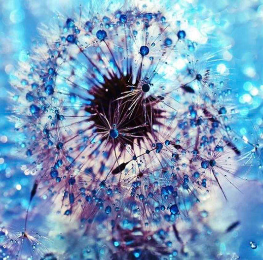 40 x 40 make a wish