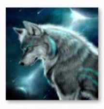 40 x 40 full square drill diamond painting -TLS-6449 wolf