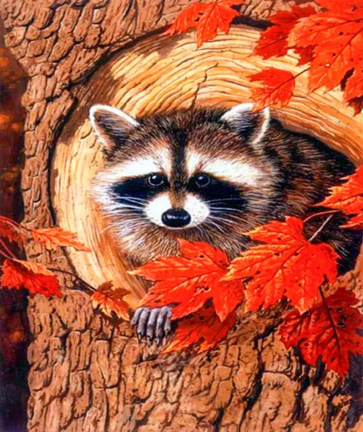 30 x 40 full round drill diamond painting - Racoon- HY836