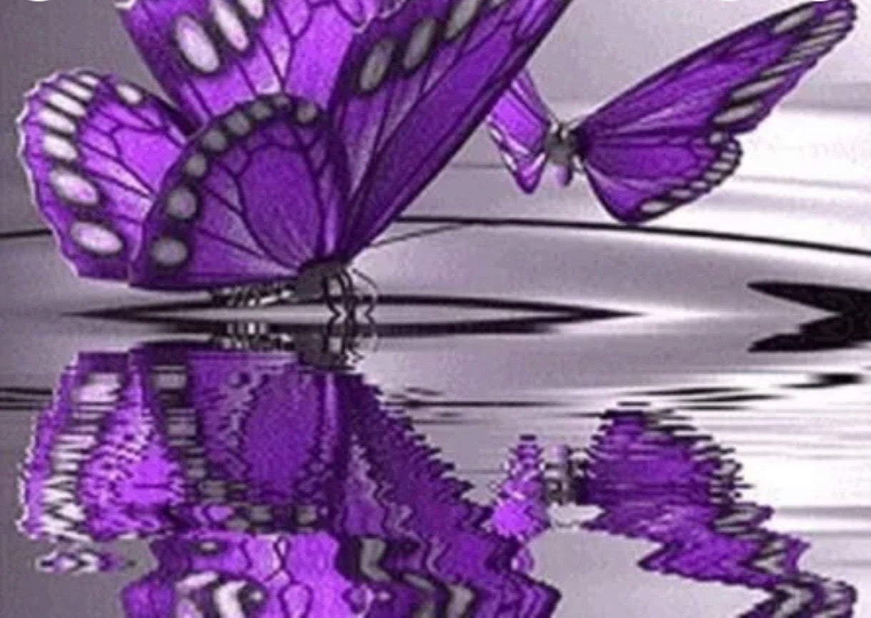 30 x 30 full drill diamond painting - (Hy839a) butterflies on water