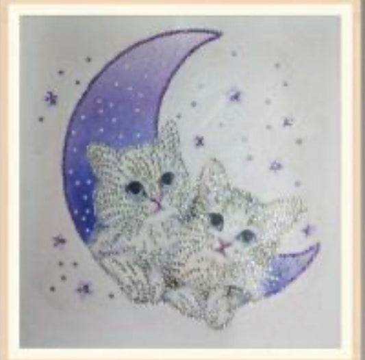 30 x 30 diamond painting rhinestone - kitty in moon DZ030