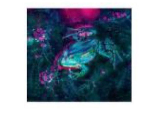 50 x 40 full square drill diamond painting - TA816 - Froggie