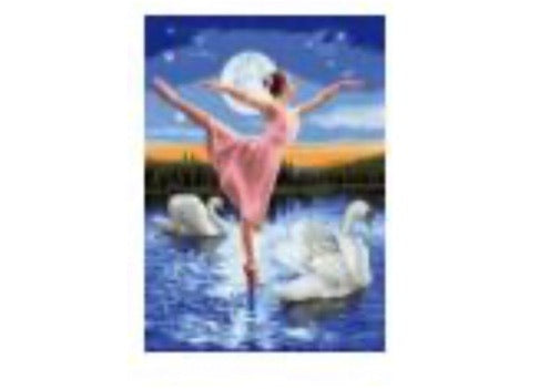 50 x 60 full square drill diamond painting - TA498 - swan lake en pointe