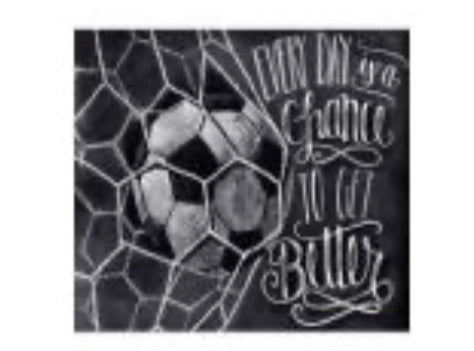 50 x 40 full square drill diamond painting- TA803- soccer net